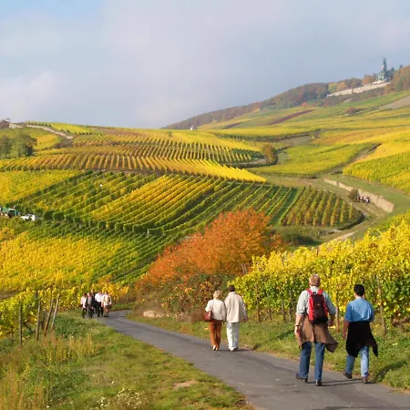 Weinhotel Des Riesling Zum Grünen Kranz 3* Rüdesheim am Rhein