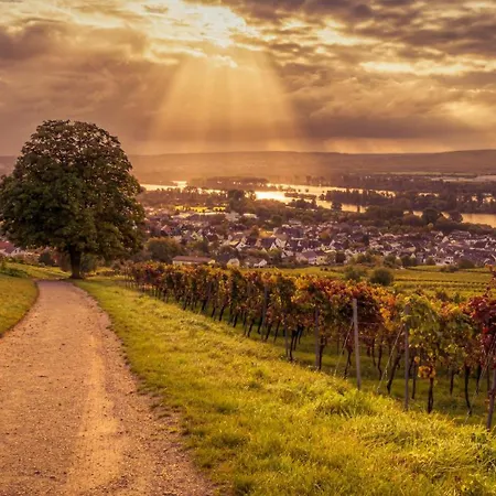 Weinhotel Des Riesling Zum Grünen Kranz Hotel Rüdesheim am Rhein