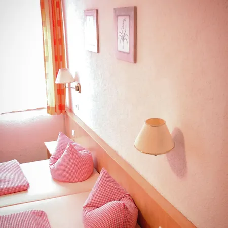 Weinhotel Des Riesling Zum Gruenen Kranz 吕德斯海姆