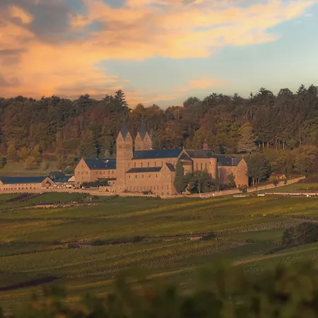 酒店 Weinhotel Des Riesling Zum Gruenen Kranz 3*