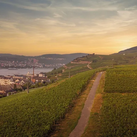 Weinhotel Des Riesling Zum Gruenen Kranz