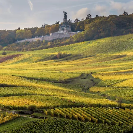 Weinhotel Des Riesling Zum Gruenen Kranz 3* 吕德斯海姆