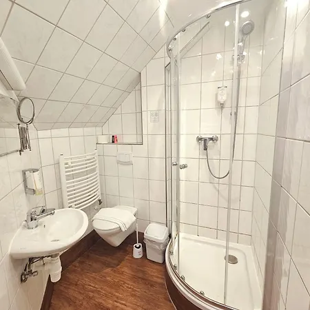 Weinhotel Des Riesling Zum Gruenen Kranz 3* 吕德斯海姆