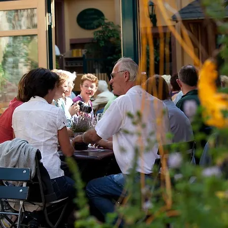 酒店 Weinhotel Des Riesling Zum Gruenen Kranz 3*