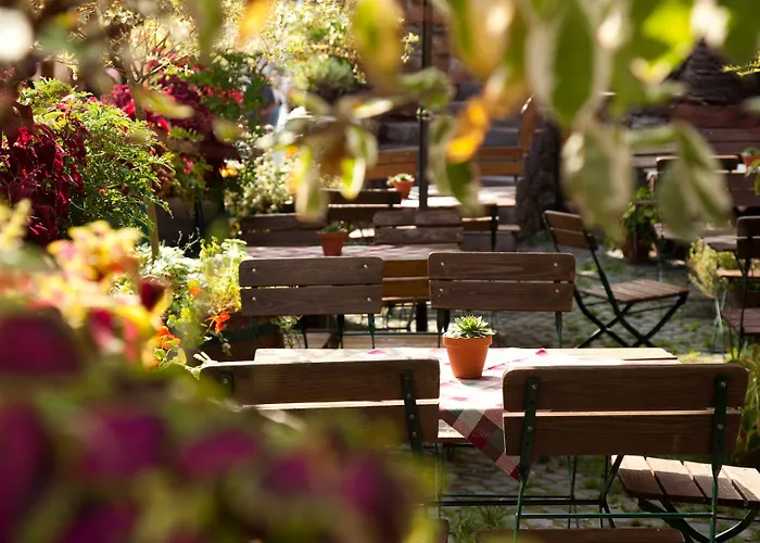 Weinhotel Des Riesling Zum Gruenen Kranz