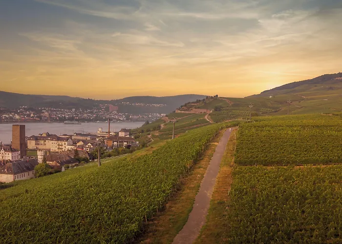 Weinhotel Des Riesling Zum Gruenen Kranz