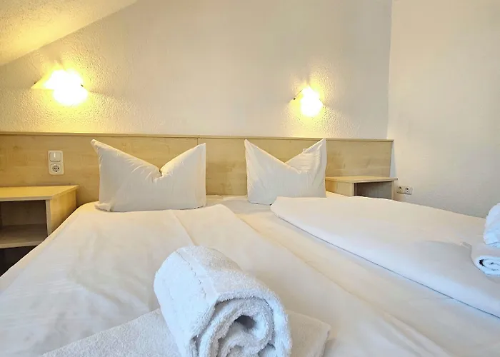 Weinhotel Des Riesling Zum Gruenen Kranz 3* Ruedesheim am Rhein